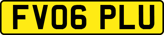 FV06PLU