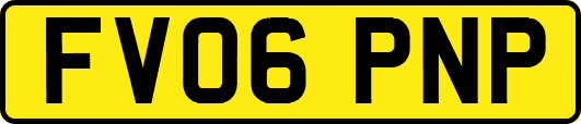 FV06PNP