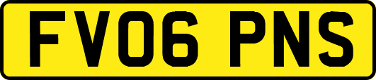 FV06PNS