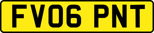 FV06PNT