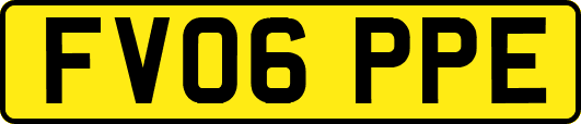 FV06PPE