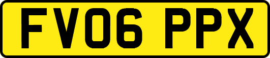 FV06PPX