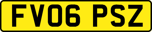 FV06PSZ
