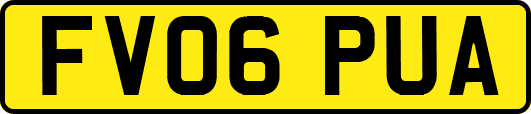 FV06PUA