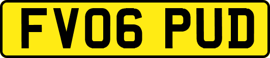 FV06PUD