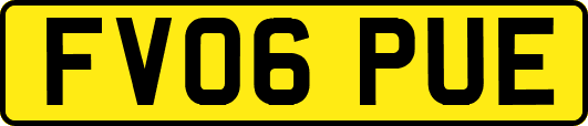 FV06PUE