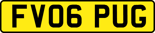 FV06PUG
