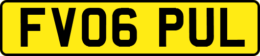 FV06PUL