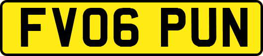 FV06PUN