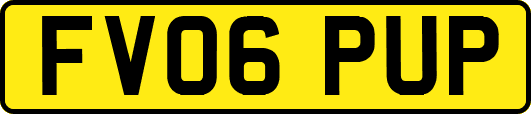 FV06PUP