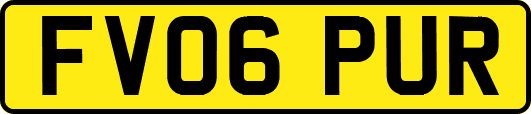 FV06PUR