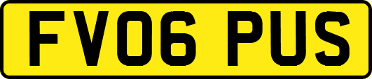 FV06PUS