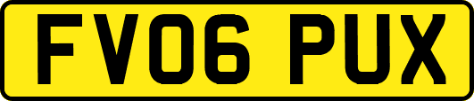 FV06PUX