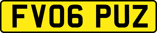 FV06PUZ