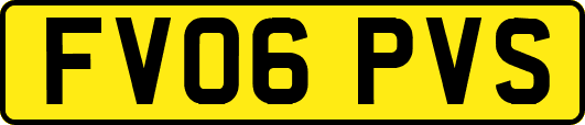 FV06PVS