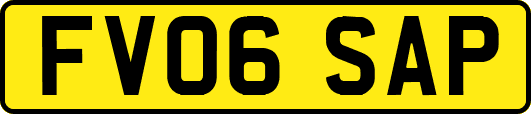 FV06SAP