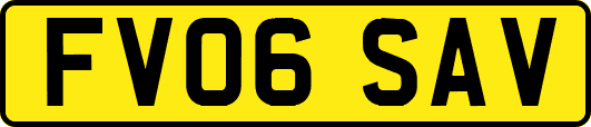 FV06SAV