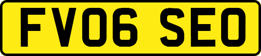 FV06SEO