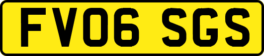FV06SGS