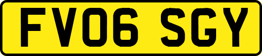 FV06SGY