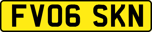 FV06SKN