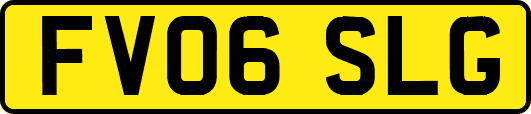 FV06SLG