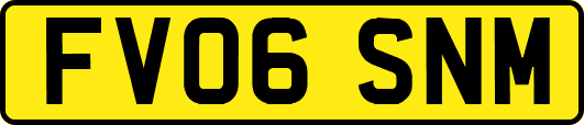 FV06SNM