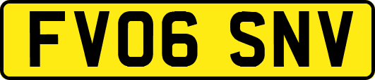 FV06SNV