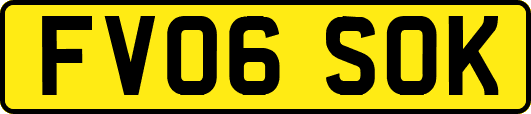 FV06SOK