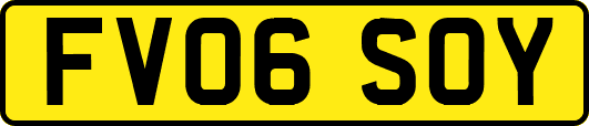 FV06SOY