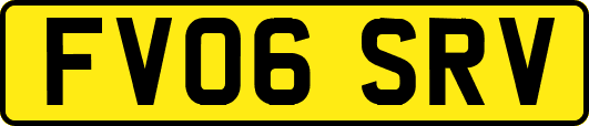 FV06SRV