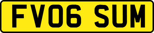 FV06SUM