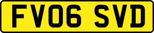 FV06SVD