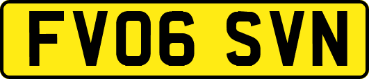 FV06SVN