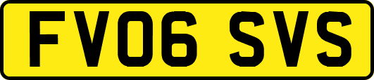 FV06SVS