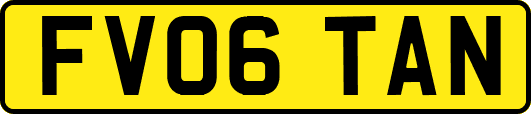 FV06TAN