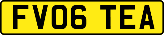 FV06TEA