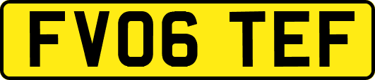 FV06TEF