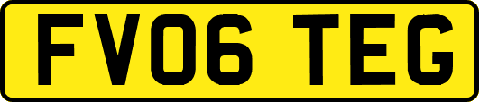 FV06TEG