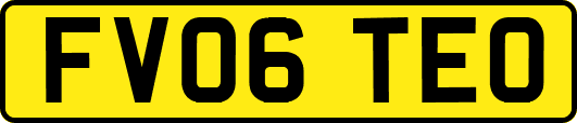 FV06TEO