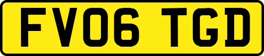 FV06TGD