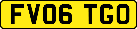 FV06TGO