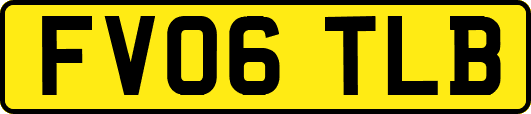 FV06TLB