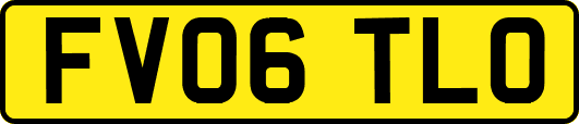 FV06TLO