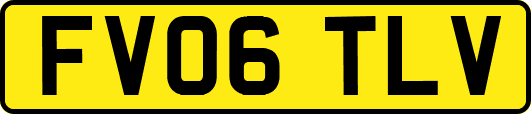 FV06TLV
