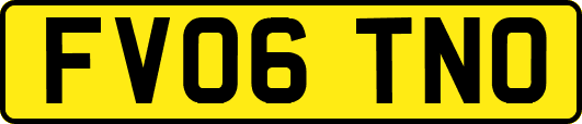 FV06TNO