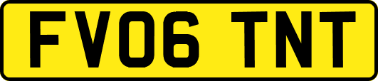 FV06TNT