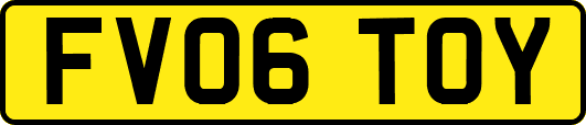 FV06TOY