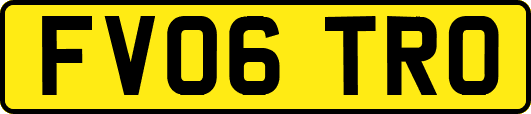 FV06TRO
