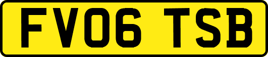FV06TSB